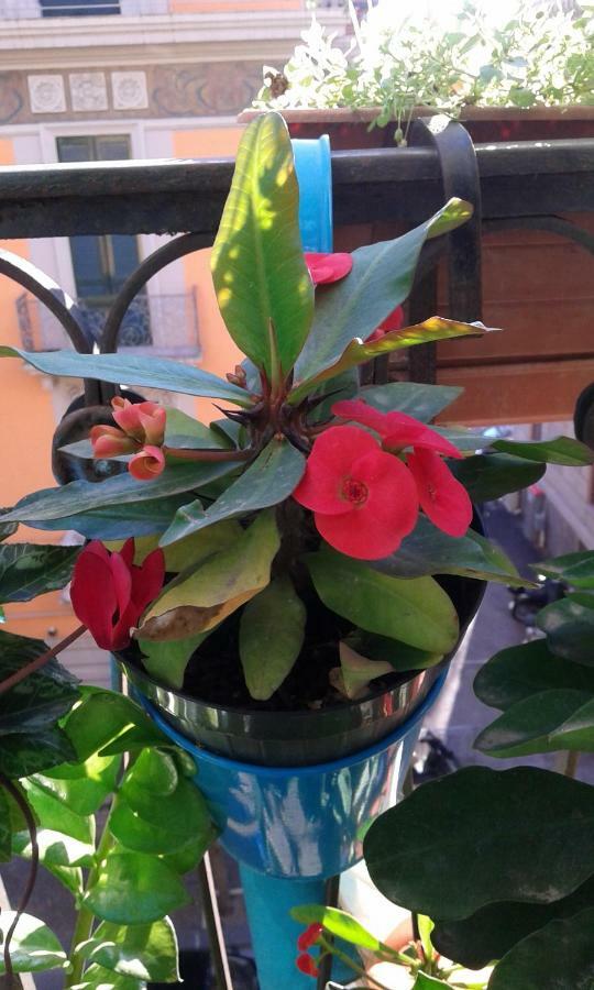 살레르노 In Via Roma B&B 외부 사진